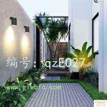 ζ