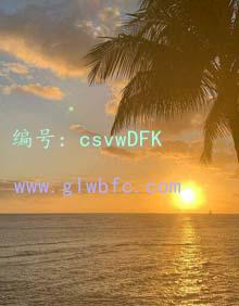 赸
