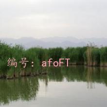 ϲŭ